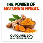 Pure Nutrition Liposomal Curcumin with Ginger Extract, 30 Capsules | Antioxidant & Joint Support