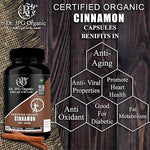 Dr. JPG Organic Cinnamon Capsules 60 Veg. Capsules/INDIA ORGANIC Certified (Pack Of 1)