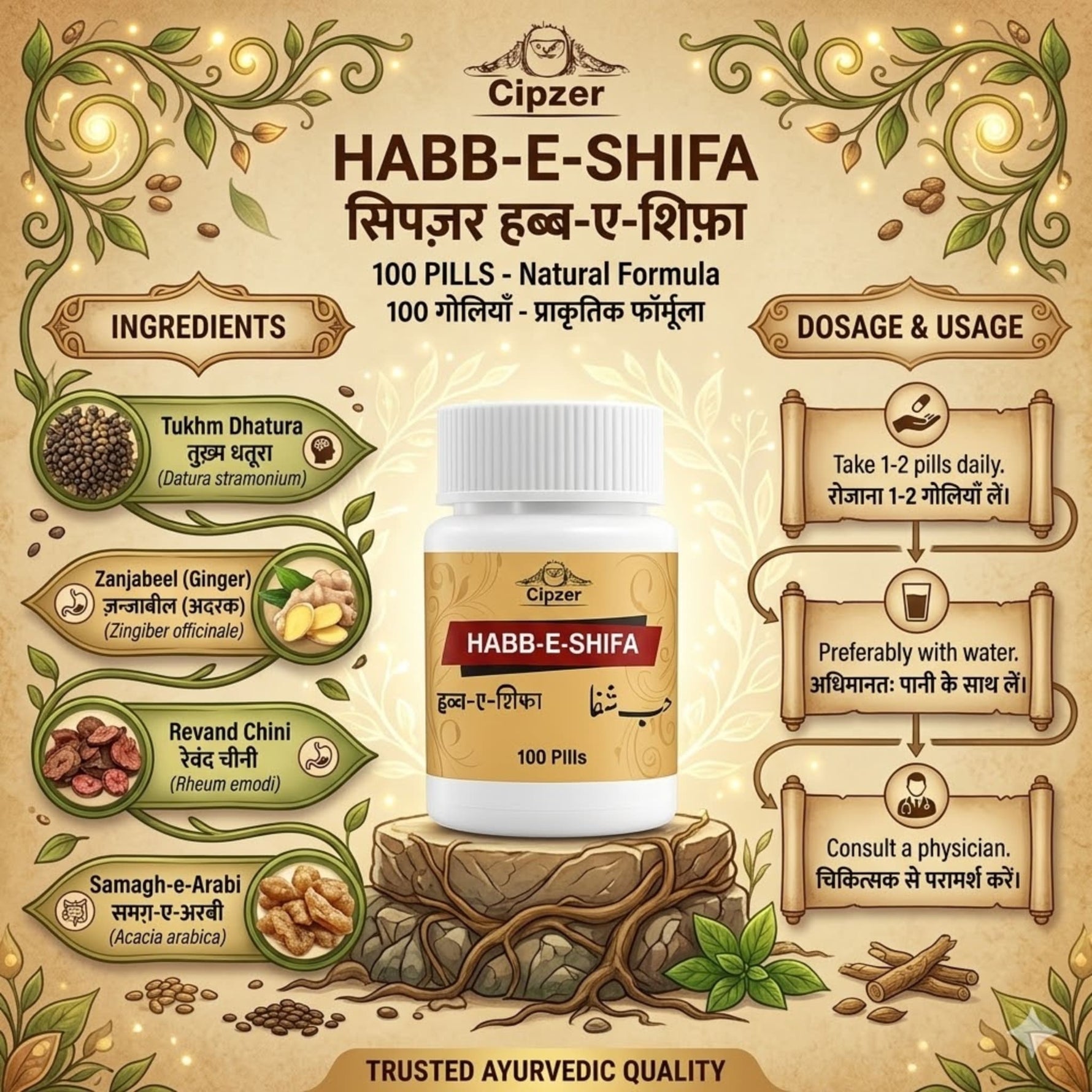 Cipzer Habb-E-Shifa Pill - 100 Pills | Unani Immunity & Vitality Booster for Overall Health & Wellness