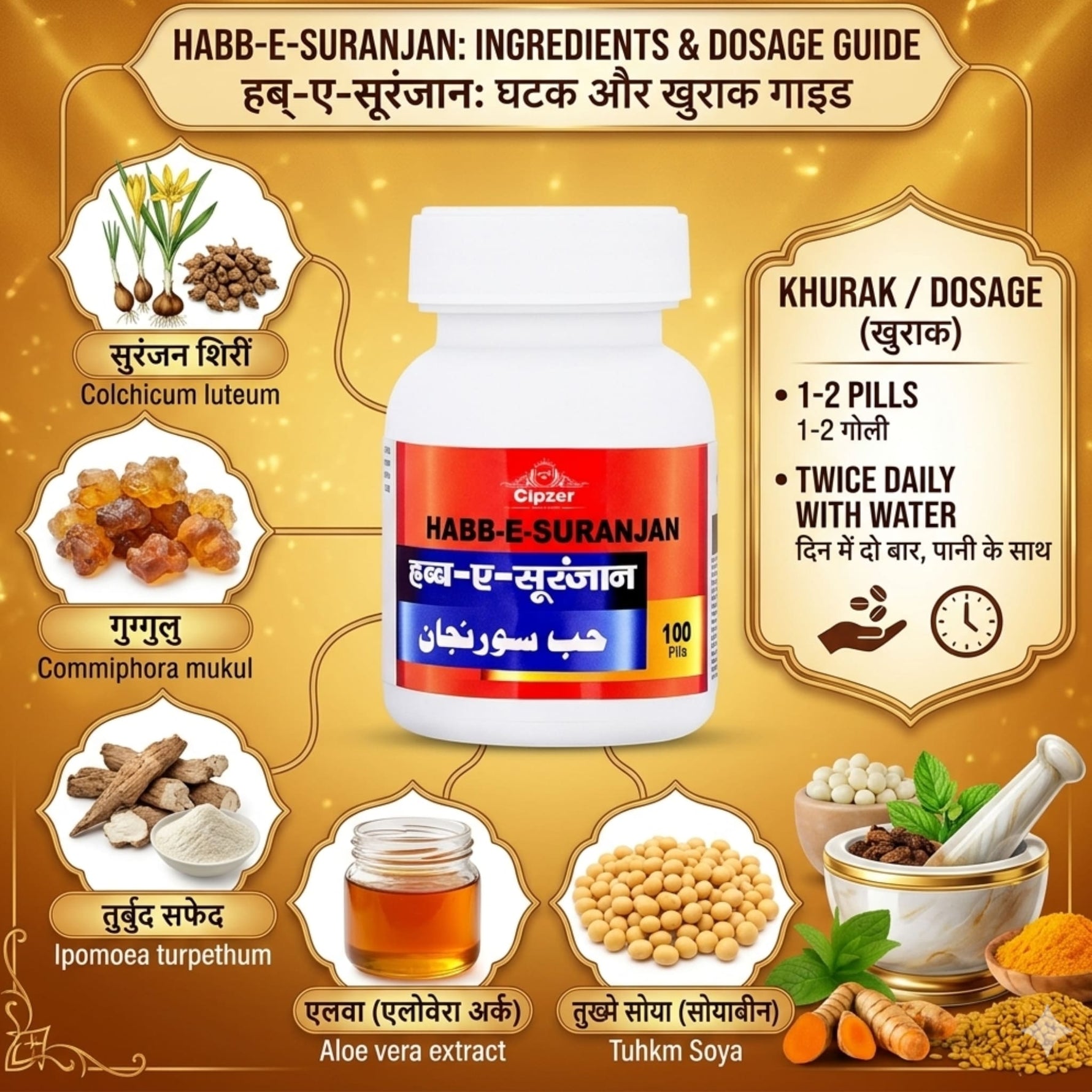 Cipzer Habb-E-Suranjan Pill - 100 Pills | Unani Joint & Muscle Health Supplement for Pain Relief & Mobility