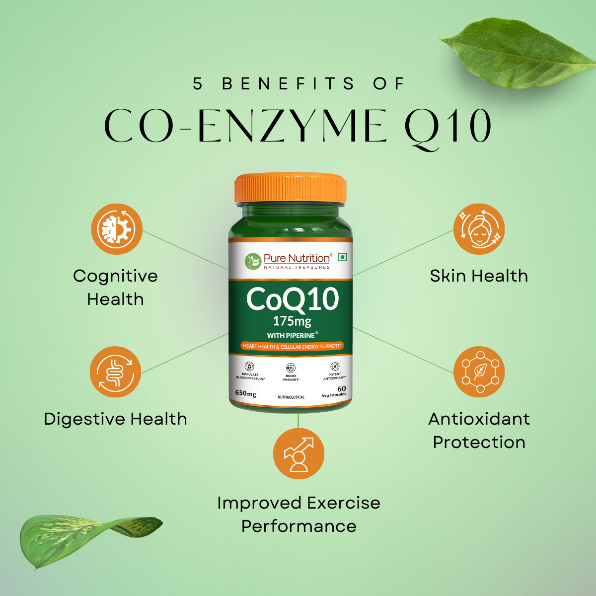 Pure Nutrition Bio Coenzyme Q10 175mg Veg Capsules, 60 Count - Cellular Vitality