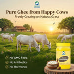 Organic Wellness Desi Bilona Cow Ghee - 400ml
