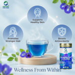 Organic Wellness 100% Natural Herbal Tea Butterfly Pea Flower Tea I Caffeine Free for Stress Relief I Memory Boosting Tea | Calming Tea, Brain Stimulant, Rich in Antioxidants (50 Gm)