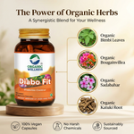 Organic Wellness Diabo-Fit Capsules - 90 Capsules