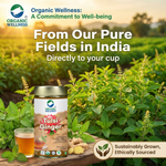 Organic Wellness Tulsi Ginger 100 grams Tin Pack