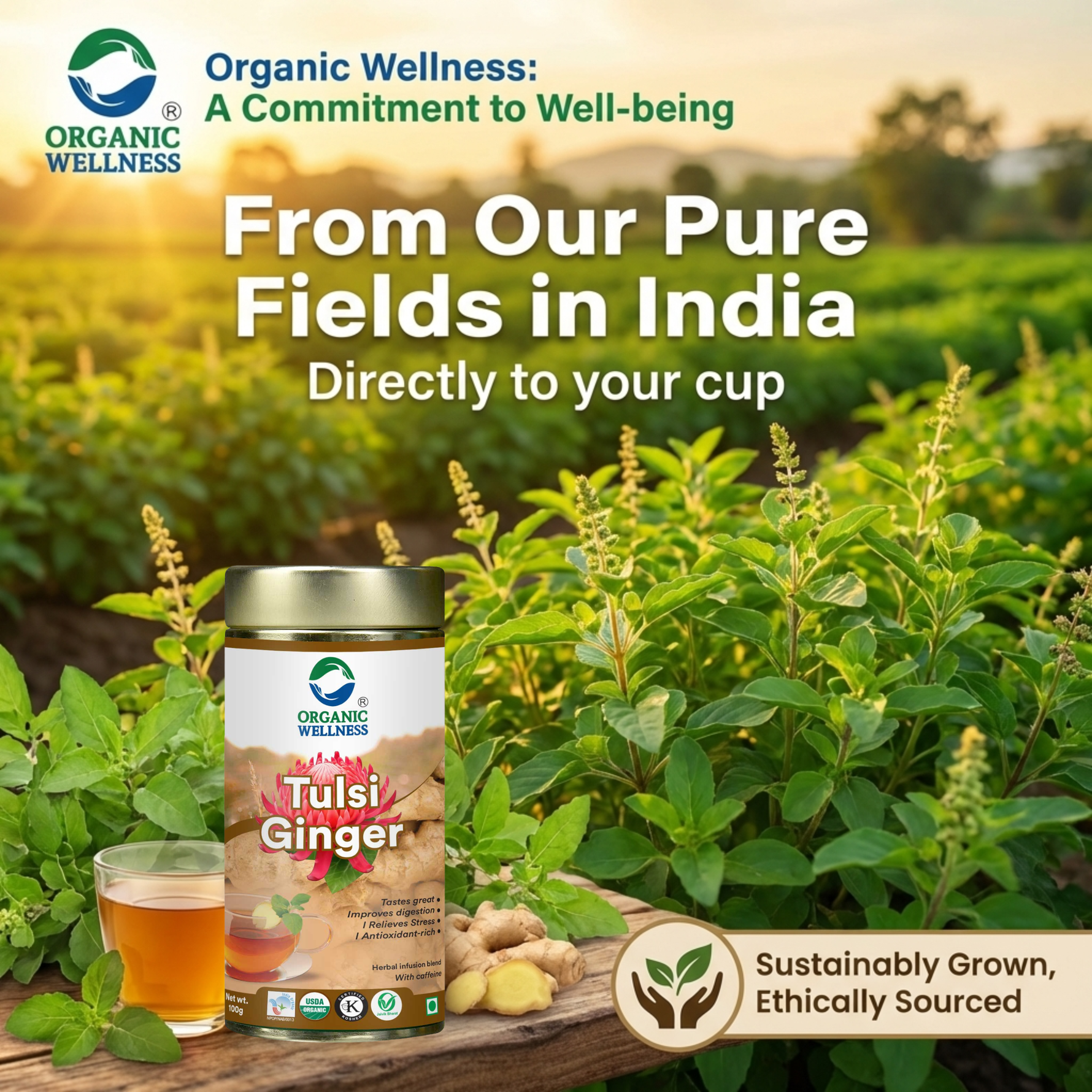 Organic Wellness Tulsi Ginger 100 grams Tin Pack