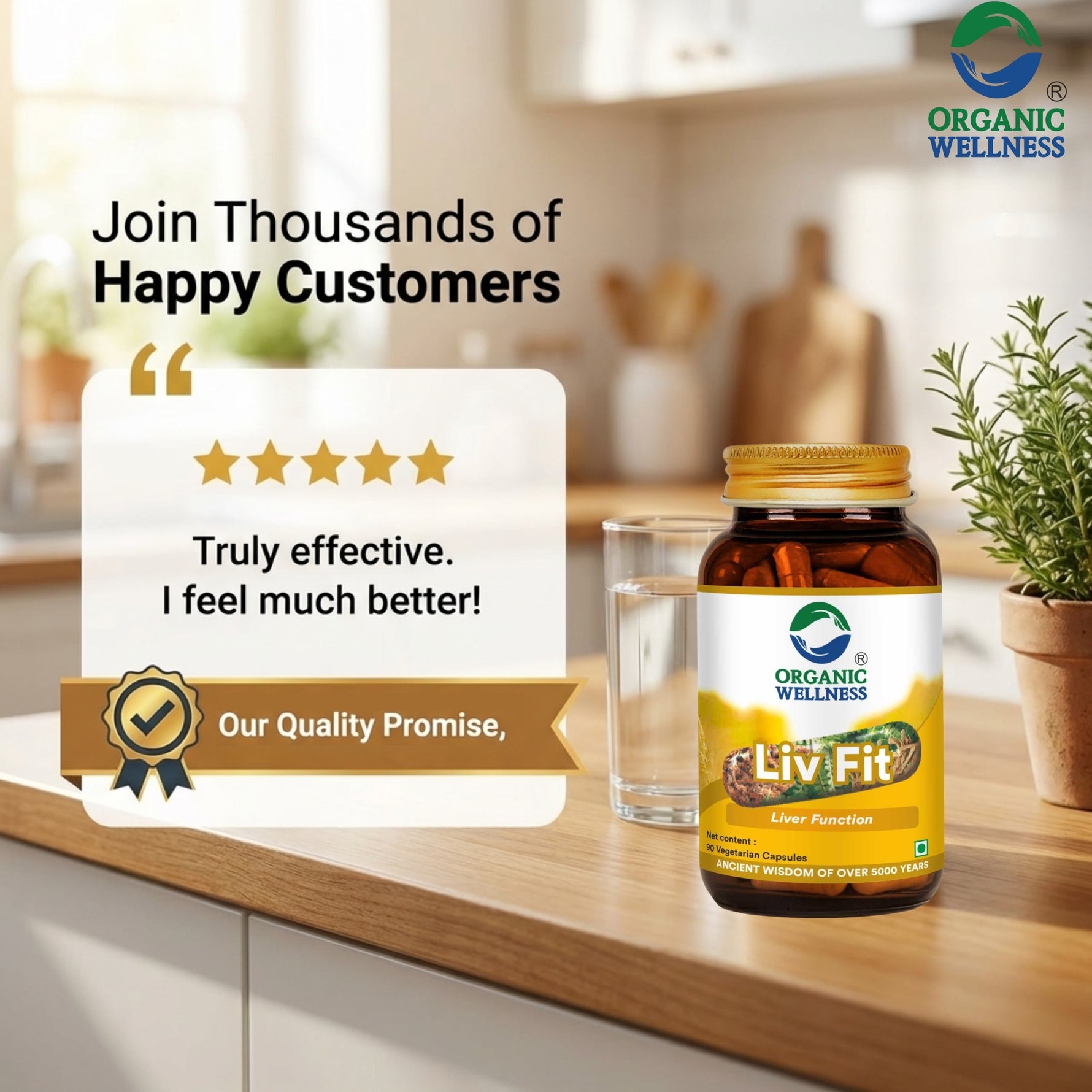 Organic Wellness Liv Fit Capsules - 90 Capsules