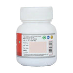 Sri Sri Tattva Dhatri Lauha Tablet - 300mg - 30 Tablet