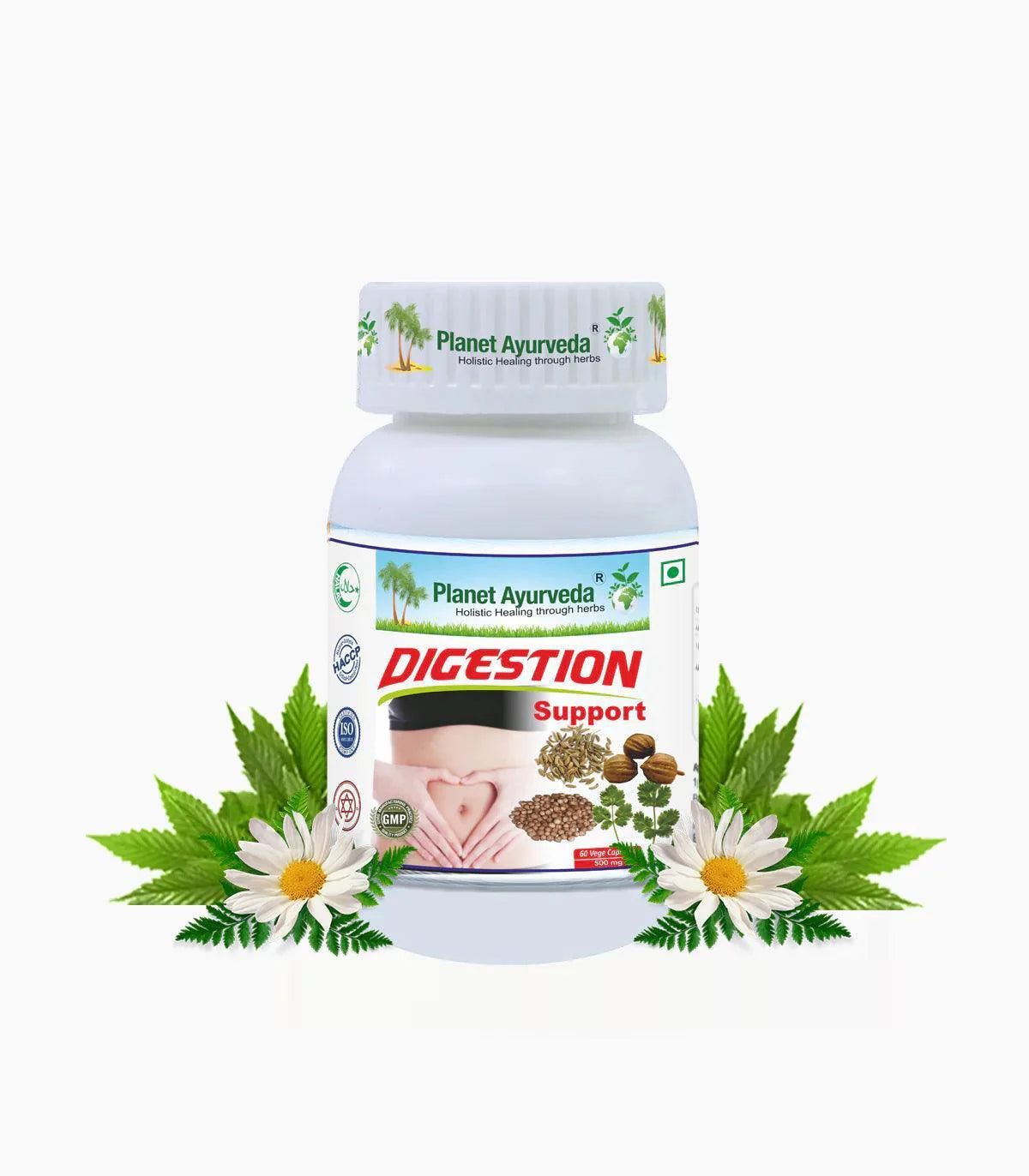 Planet Ayurveda Digestion Support Capsule - 60 Capsules