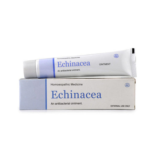 lord's echinacea ointment 25gm (boils and insect bites)
