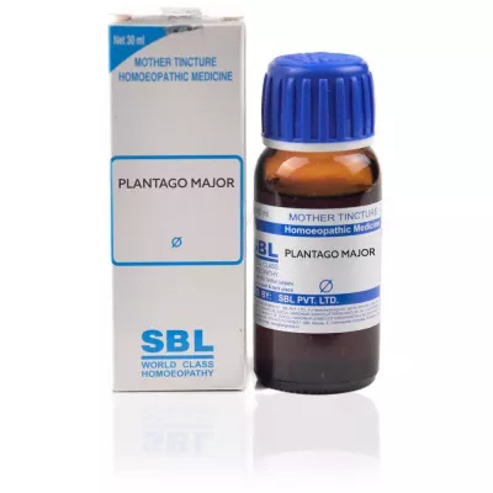 SBL Plantago Major Mother Tincture Q (30ml) | Relieves Toothaches, Facial Neuralgia, Gum Boils & Insect Bites