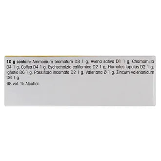 Dr. Reckeweg R14 Nerve And Sleep Drop - 22ml