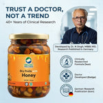 Organic Wellness Dry fruits with Honey 350 Grams Bottle