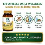 Organic Wellness Giloy Capsules - 90 Capsules