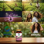 Organic Wellness Bhringraj Capsules -  90 Vegetarian Capsules