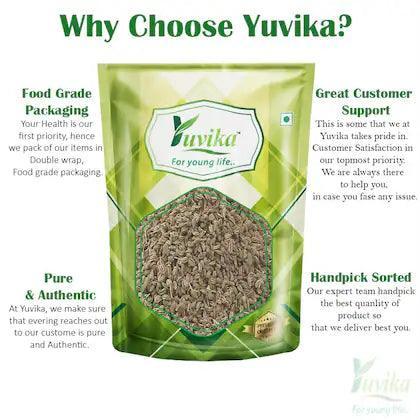 YUVIKA Ajmod - Apium Graveolens - Celery Seeds