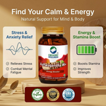 Organic Wellness Ashwagandha | Certified Ashwagandha | For Immunity, Stress Relief & General Wellness | 90 Capsule Bottle