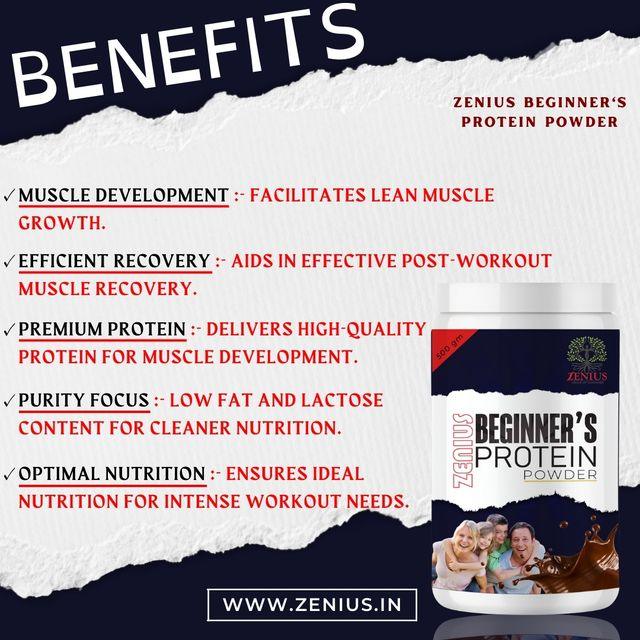 Zenius Beginner's Protein Powder - Protein Supplements for Muscle Gain and Immunity Boosting - 500gm Powder