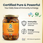 Organic Wellness Dry fruits with Honey 350 Grams Bottle