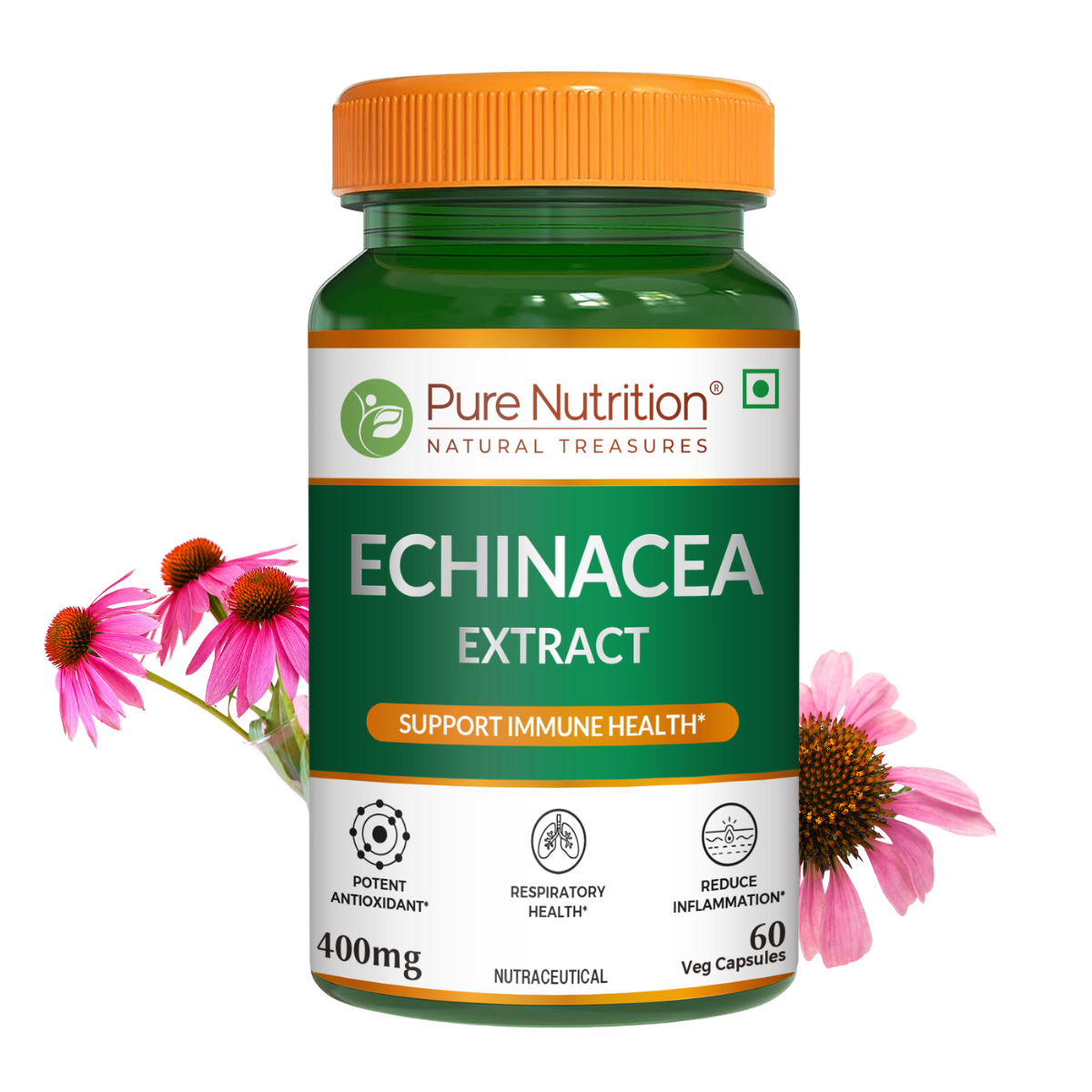 Pure Nutrition Echinacea Purpurea Extract 400mg – 60 Capsules | Herbal Immune Support