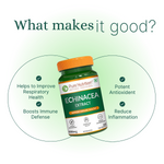 Pure Nutrition Echinacea Purpurea Extract 400mg – 60 Capsules | Herbal Immune Support