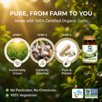 Organic Wellness Garlic Capsules -  90 Vegetarian Capsules