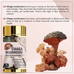 Vitaminnica Chaga Mushroom Capsules - Immune Defense & Superfood Antioxidant, 60 Count