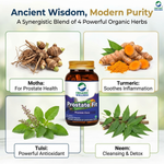 Organic Wellness Prostate-Fit Capsules - 90 Capsules