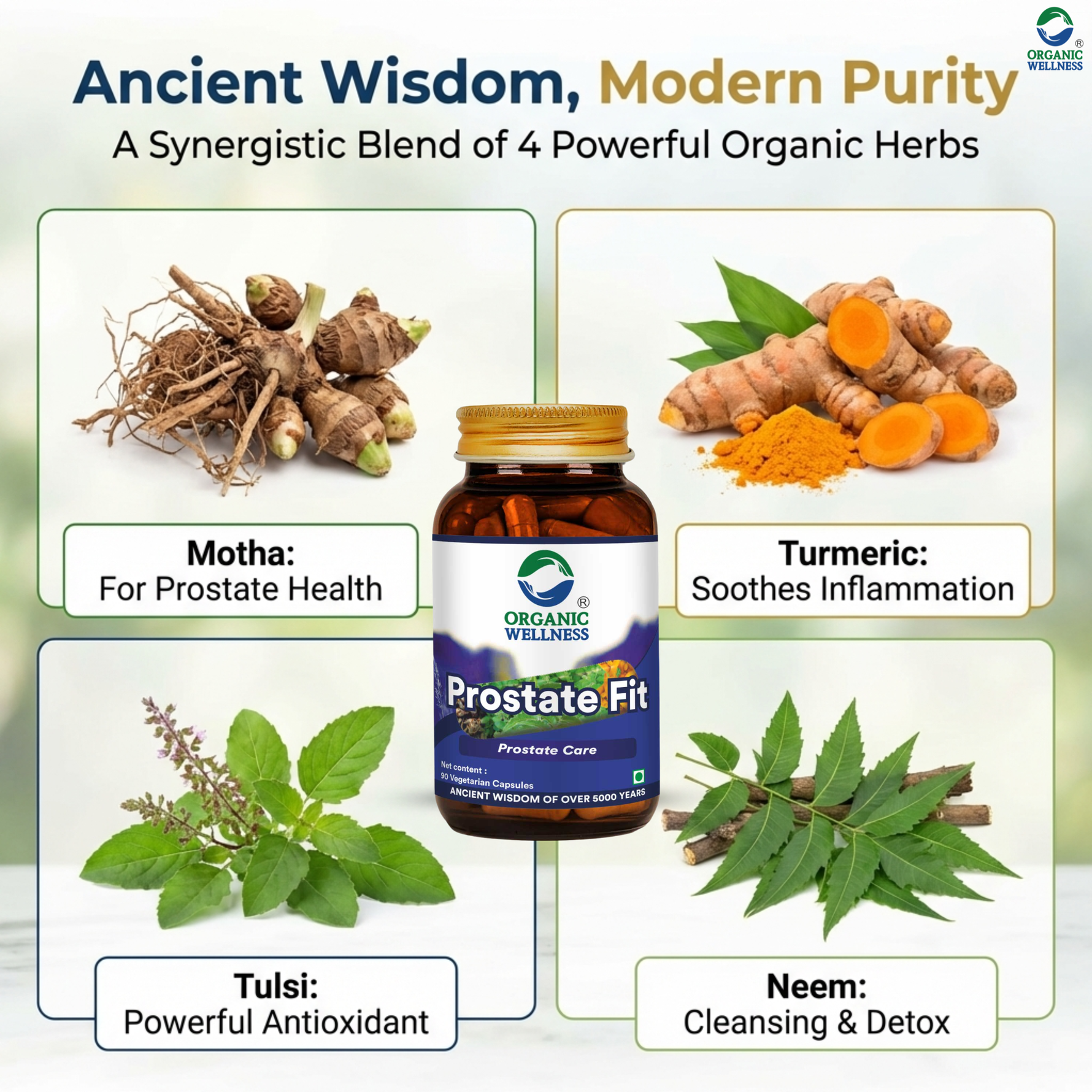 Organic Wellness Prostate-Fit Capsules - 90 Capsules