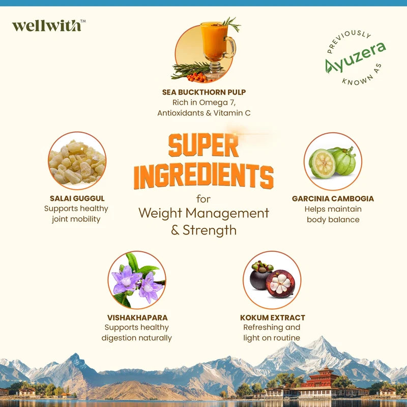 WellWith Sea Buckthorn FitWell Juice for Weight Management & Metabolism (300ml)