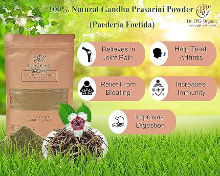 Dr. JPG Organic Gandha Prasarini Powder Natural | Paederia Foetida| 100g | ISO & GMP Certified. (Pack Of 1)