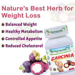 Planet Ayurveda Garcinia Capsule - 60 Capsules
