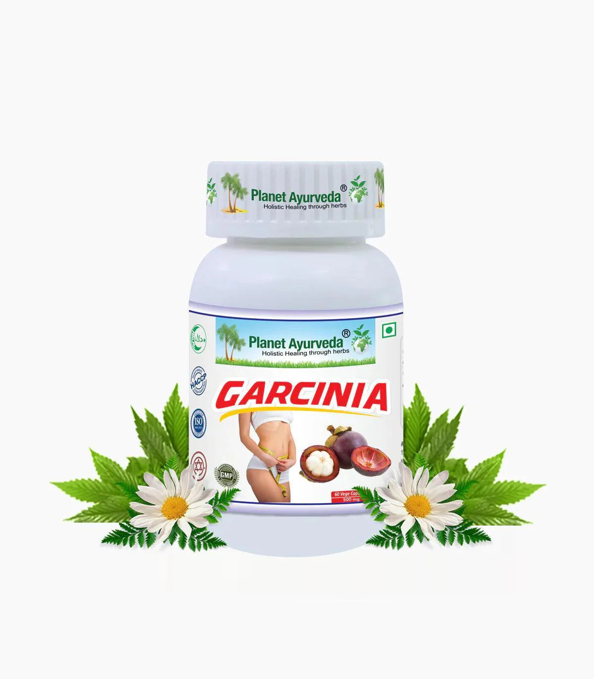 Planet Ayurveda Garcinia Capsule - 60 Capsules