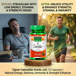Cipzer Caterpillar Keeda Jadi Capsules - Natural Endurance & Vitality Support (10 Capsules)