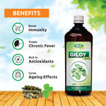 Pack of 2 Giloy Ras 500ml for Immunity, Digestion & Daily Wellness Support.