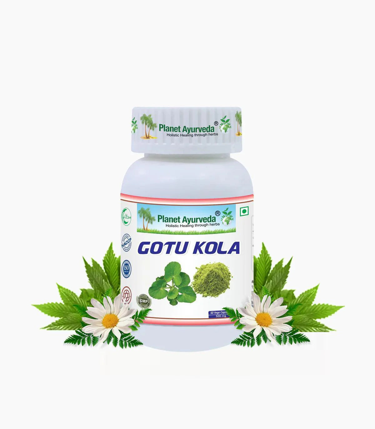 Planet Ayurveda Gotu Kola Capsule - 60 Capsules