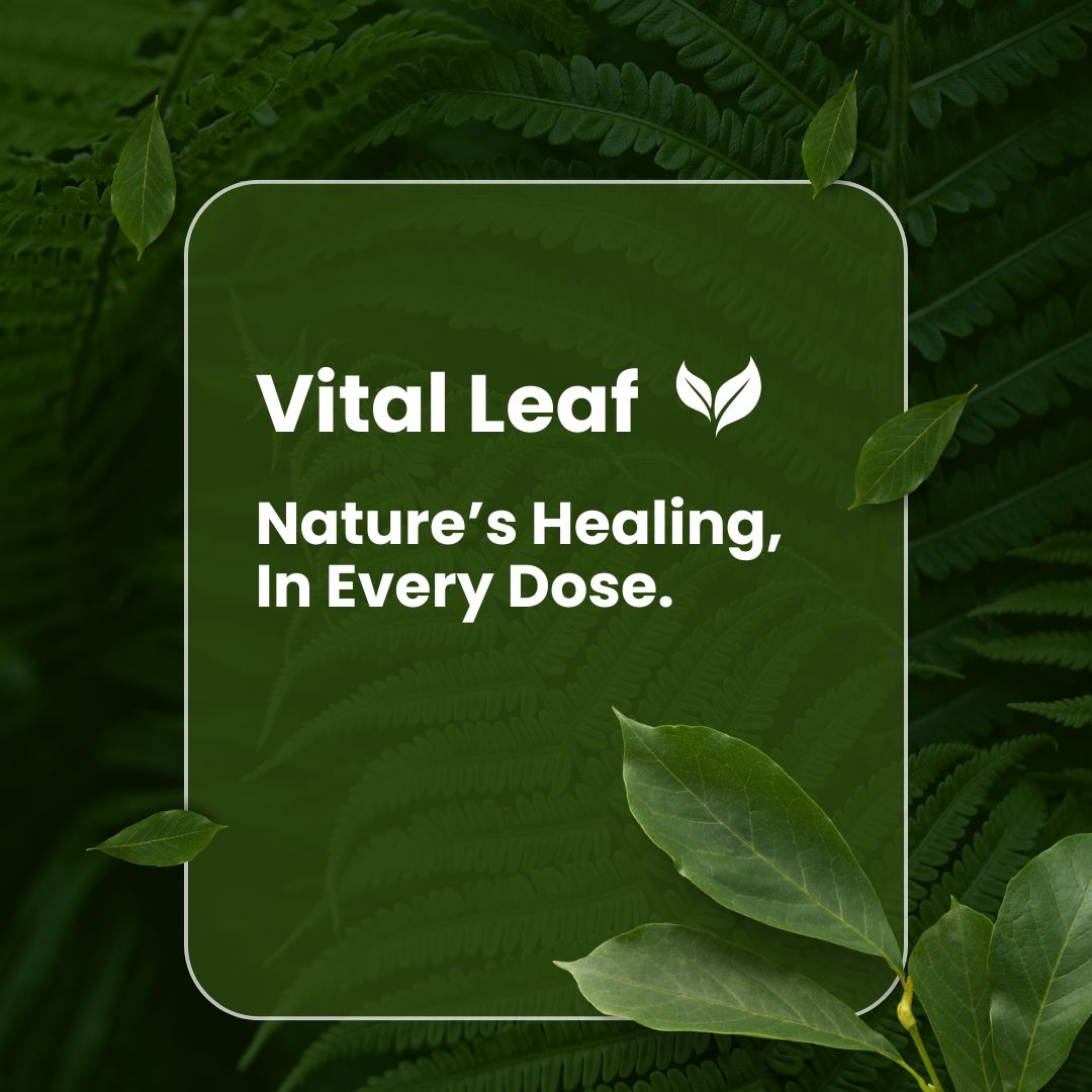Vital Leaf Gut Cleanser Capsules – Ayurvedic Capsules with Triphala, Senna, Amaltas & Tivrat – Herbal Digestive Support Formula – 60 Plant-Based Capsules