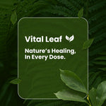 Vital Leaf Shilajit Plus Capsules – Ayurvedic Blend with Shilajit, Ashwagandha, Safed Musli & Gokshura – 60 Plant-Based Capsules – Natural Herbal Supplement