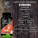DR. JPG Organic Gymnema / Gudmar Capsules (500mg, 120 Veg Capsules) – Pack of 2 | For Blood Sugar Support & Metabolism | 100% Certified Organic Gymnema Sylvestre