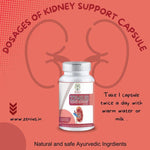 Zenius Kidney Support Capsules - Kidney Detox Capsules for Kidney Health and Stone Relief - 60 Capsules