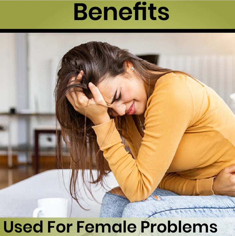 Cipzer Habb-E-Marwareed Pill - 20 Pills | Used For Female Problem Like Leukorrhea & General Debility