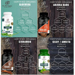 DR. JPG ORGANIC Arjuna, Cinnamon, Aloe Vera & Giloy Capsules For Heart Care 240 veg. Capsules (60 Cap. In Each Bottle) INDIA Organic Certified.