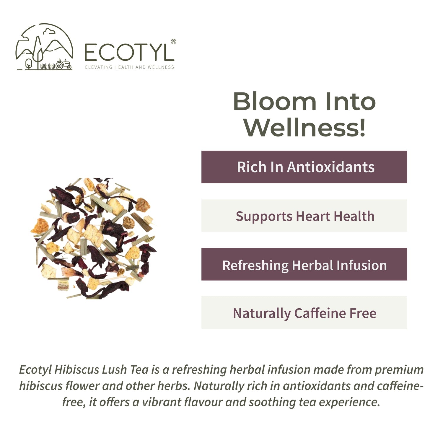 Ecotyl Hibiscus Lush Tea | Rich in Antioxidants | Herbal Tea | 60g