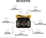Arogyasiddhi Pure Himalayan Shilajit Resin | 75% Fulvic Acid | Lab Report Included | 10 g