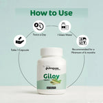 Dr. Satnam’s Arogyam Ayurveda Giloy Tablets (60 Tablets) | Standardized Pure Guduchi Extract for Immunity, Fever Defense & Blood Purification