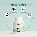 Dr. Satnam's Arogyam Ayurveda Tribulus Terrestris Gokshur 500mg Capsule (60 Each)