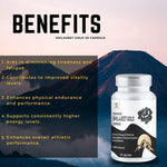 Zenius Shilajeet Gold Capsules - 30 Capsules