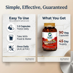 Organic Wellness Ashwagandha | Certified Ashwagandha | For Immunity, Stress Relief & General Wellness | 90 Capsule Bottle