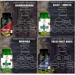 DR JPG Organic Ashwagandha, Giloy, Moringa & Tulsi Capsules For Immunity 240 veg. Capsules (60 Cap. In Each Bottle) INDIA Organic Certified.