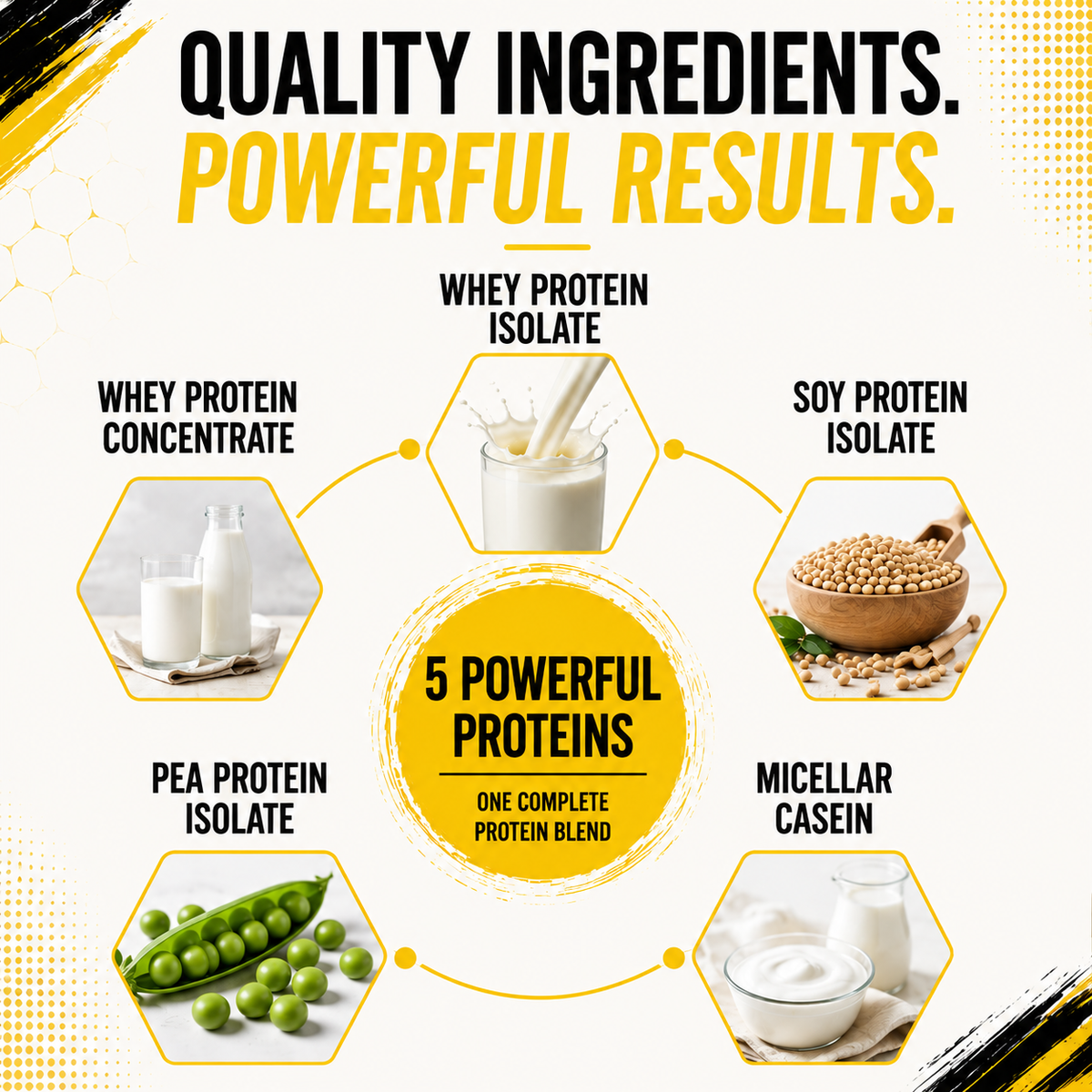 Pure Nutrition All-in-One Whey Blend Filter COFFEE-1kg | 26g Protein per Serving | Whey, Soy & Casein Blend with Creatine, Superfoods & Digestive Enzymes | Muscle Recovery & Performance Support